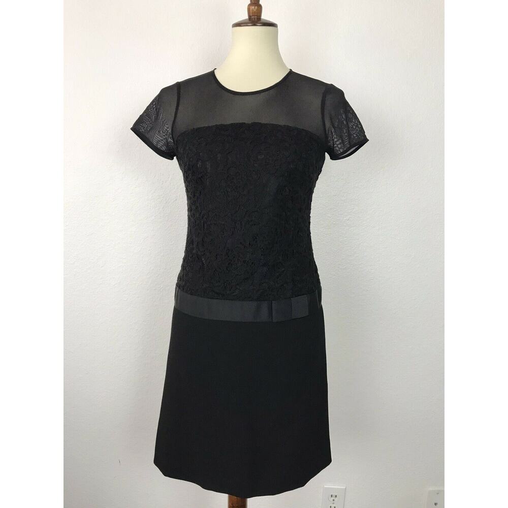 Ann Taylor Sheer Drop Waist Party Dress